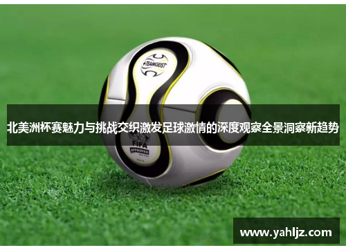 北美洲杯赛魅力与挑战交织激发足球激情的深度观察全景洞察新趋势